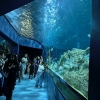 Acuario Michin Guadalajara