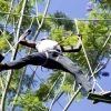 Lakeside Adventure Park