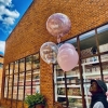 Party & Game Hub ZW