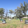 Elite Paintball mz