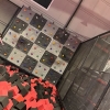 Xtreme Trampoline Park
