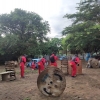JUNGLE WARZONE PAINTBALl