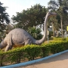 Play Land Amusement Park