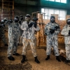 Paintball Pistollero