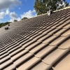 New roof Odense - LB Carpentry & Tag