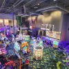 Andretti Indoor Karting & Games Grand Prairie