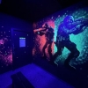 Laser park