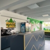 Jungle Laser Mania - Pallady